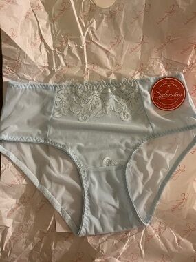 Splendies Women's Lace-Accent Light Blue High-Cut Brief Panty